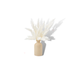 White Pampas Table Arrangement - For Hire